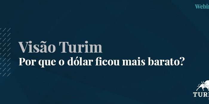 Turim’s Insights